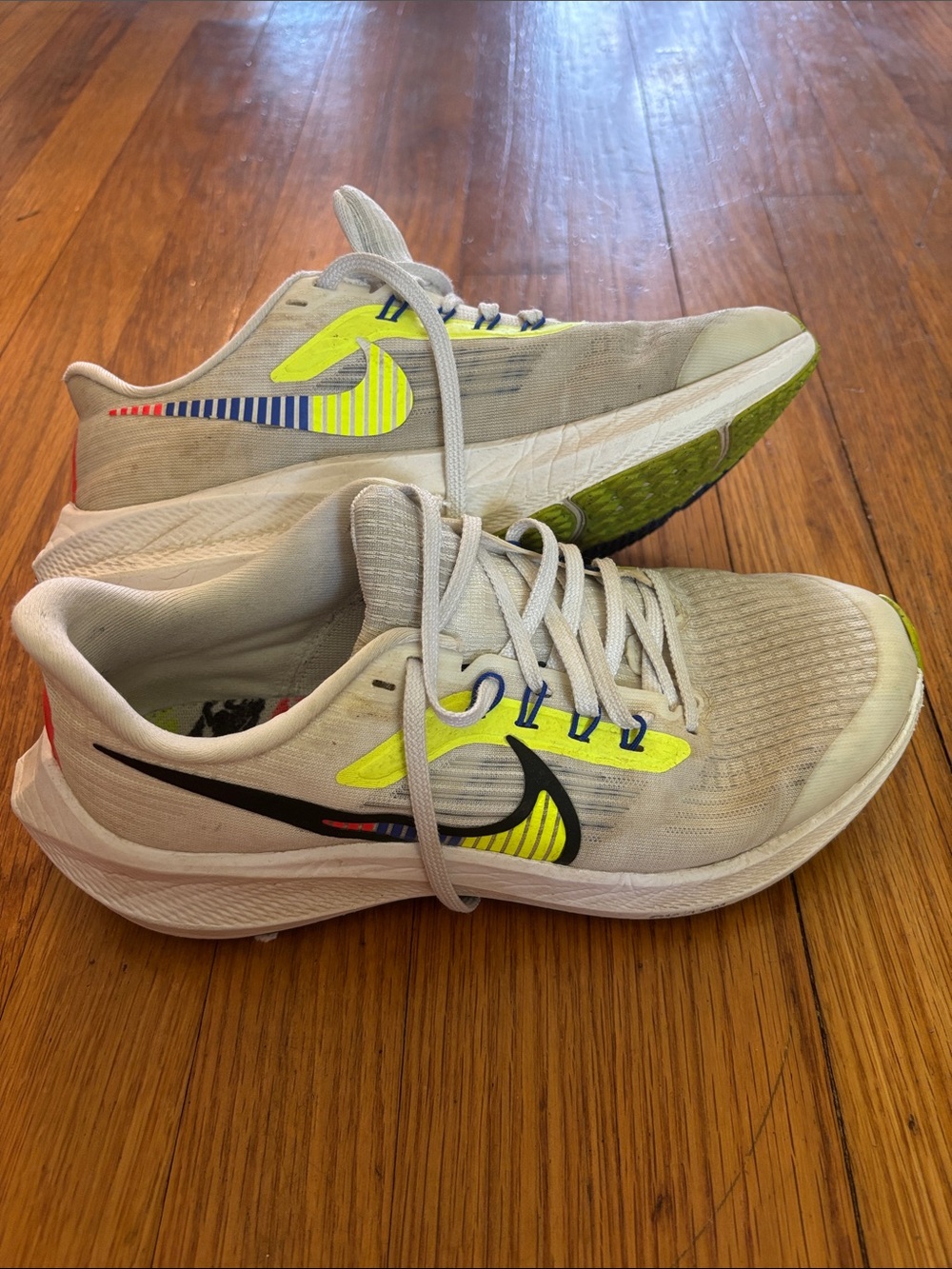 Nike Pegasus 39